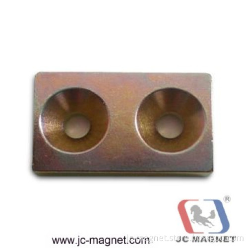 Magnet